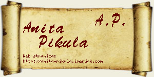 Anita Pikula vizit kartica